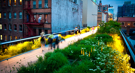 纽约高线公园